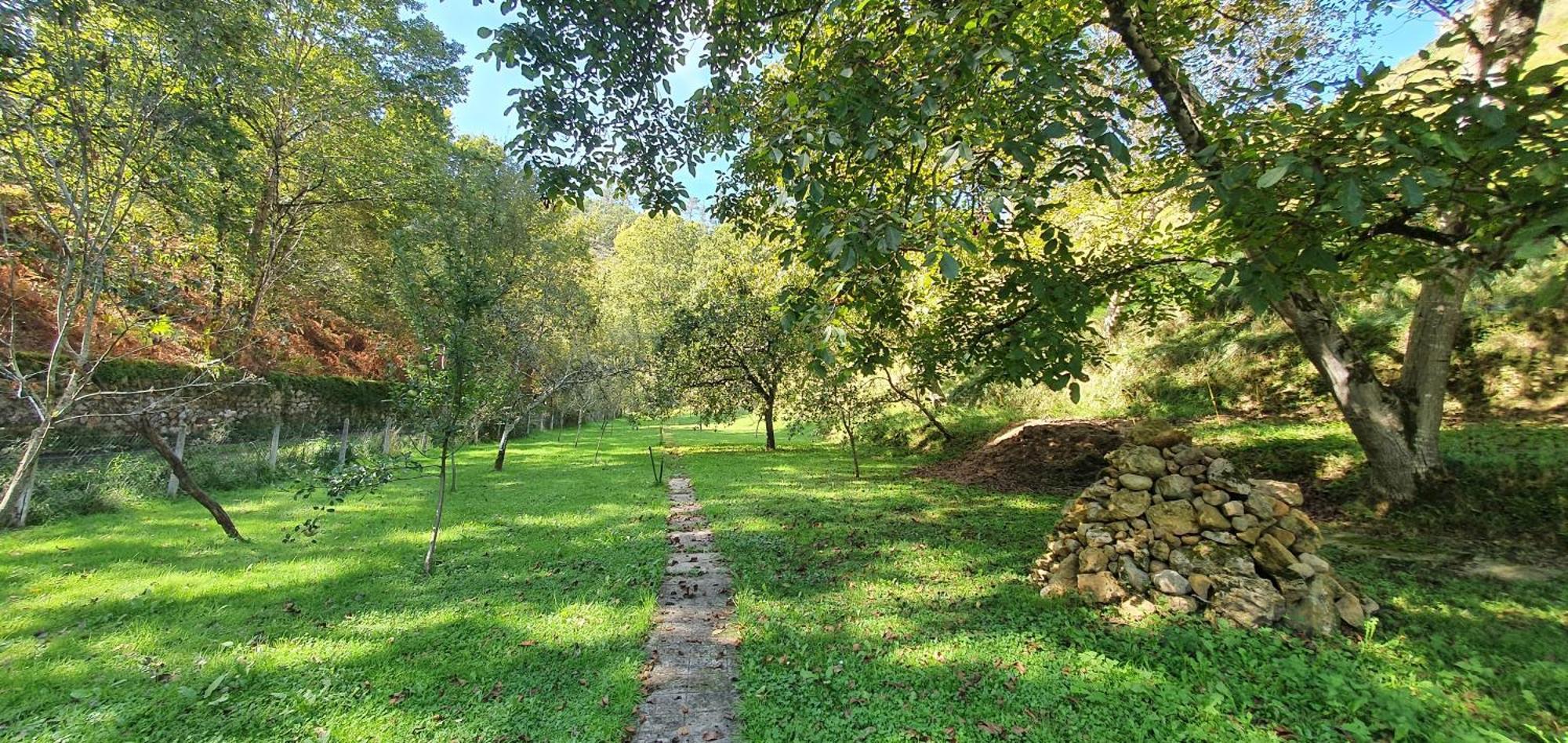La Casona De La Vega Junto A Onís Zewnętrze zdjęcie